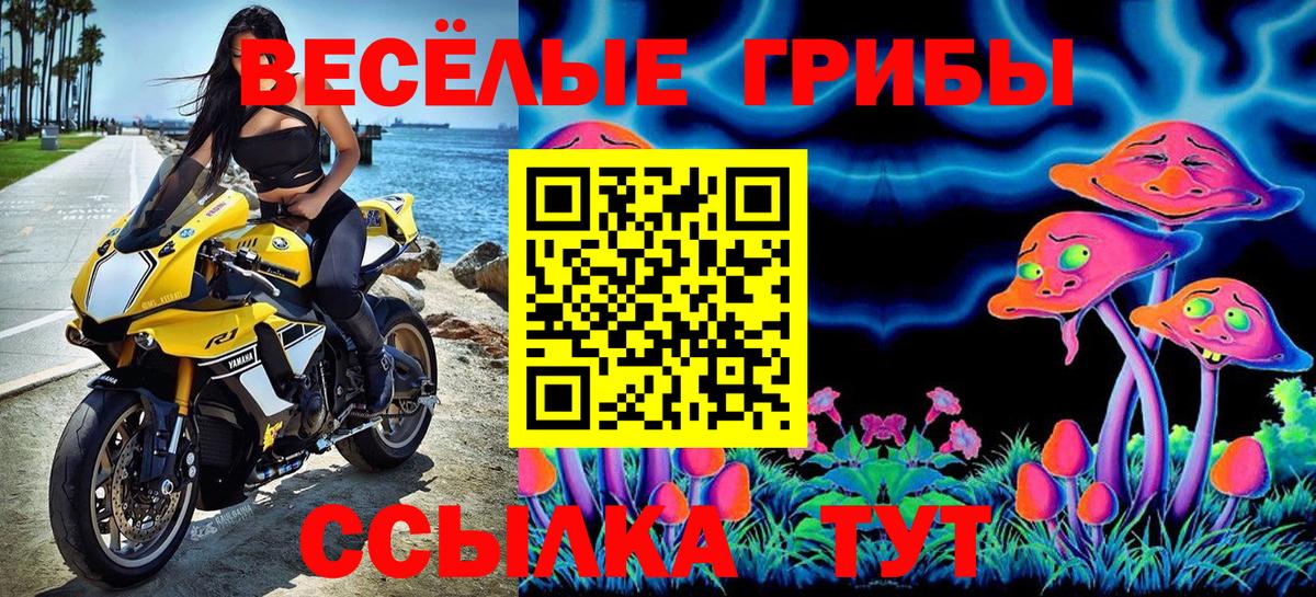 Псилоцибиновые грибы ЛСД Новокуйбышевск