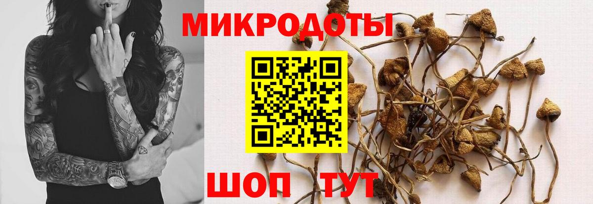 Псилоцибиновые грибы MAGIC MUSHROOMS  Галлюциногенные грибы прущие грибы  Новокуйбышевск  Вход с VPN 